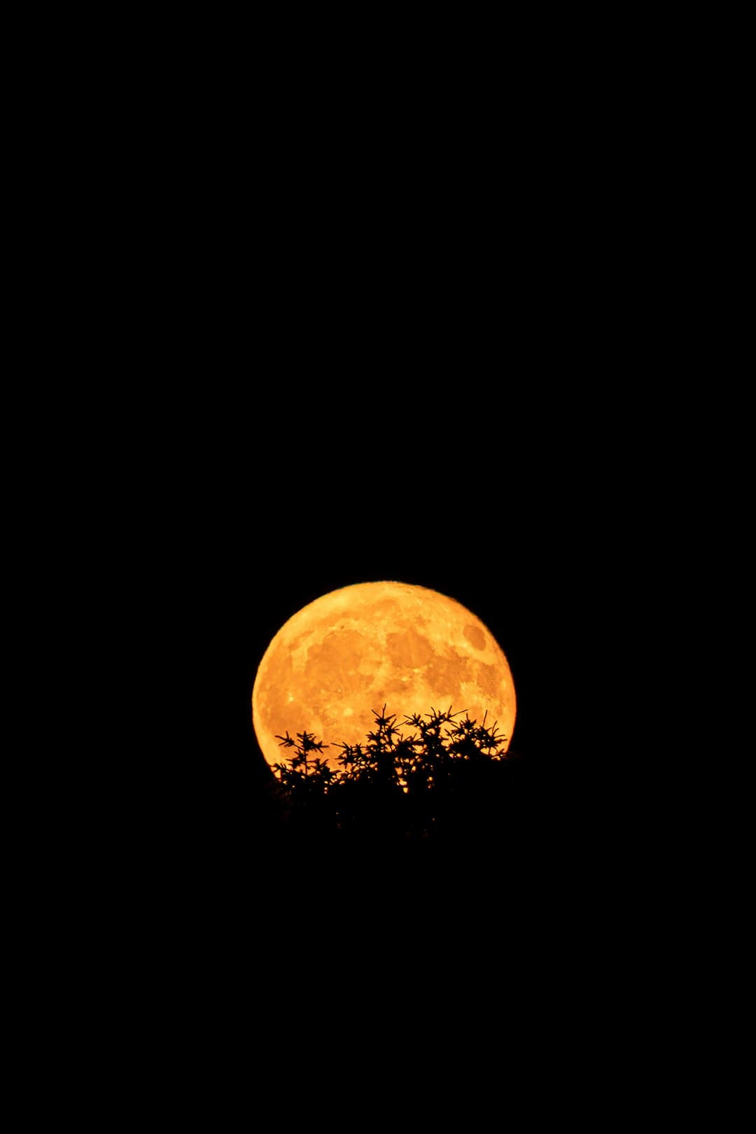 夏日全南莞岛值得一游的当地_